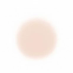 Face Temptu Perfect Canvas Hydra Lock Airpod Foundation