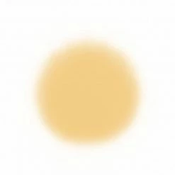 Temptu SilkSphere Airpod Foundation Face