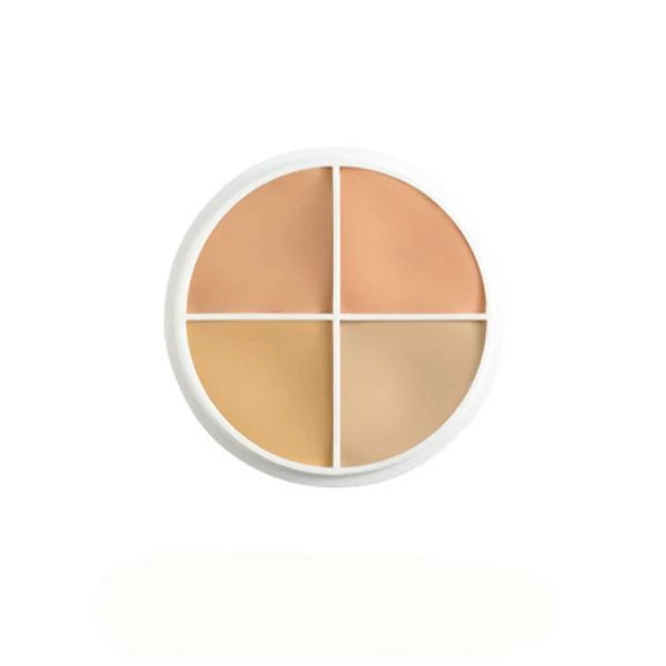 Ben Nye Special Color Wheel 10 Ben Nye Special Color Wheel