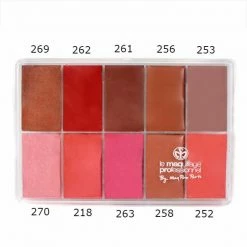 MAQ Pro Blush Maqpro Lipstick Palette R11 (15 Ml.)