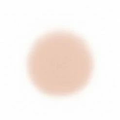 Face Temptu Perfect Canvas Hydra Lock Airpod Foundation