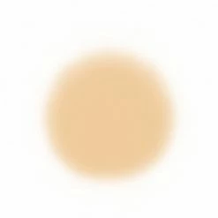 Face Temptu Perfect Canvas Hydra Lock Airpod Foundation