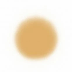 Face Temptu Perfect Canvas Hydra Lock Airpod Foundation