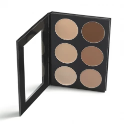 Mehron Celebré Pro-HD Conceal-It Palette (605-C-PAL)