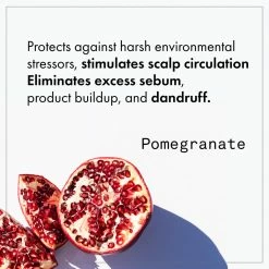 Fekkai Apple Cider Detox Scrub 14 Fekkai Apple Cider Detox Scrub