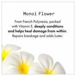 Fekkai Shea Butter Conditioner New