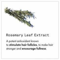 Fekkai Full Blown Volume Shampoo 14 Fekkai Full Blown Volume Shampoo