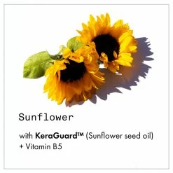 New Fekkai Technician Color Shampoo