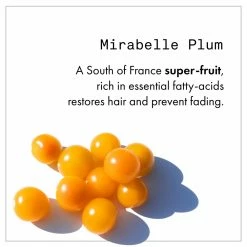 New Fekkai Technician Color Shampoo