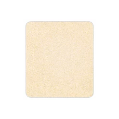 Make Up For Ever Artist Color Eye Shadow Refill (Iridescent)