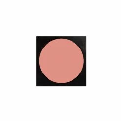 RCMA VK Pro Palette Replaceable Godets