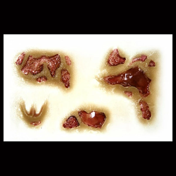 Tinsley Transfers The Running Dead - 3D FX Transfer Special FX 2 Tinsley Transfers The Running Dead - 3D FX Transfer Special FX