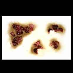 Special FX Tinsley Transfers Zombie Rot - 3D FX Transfer